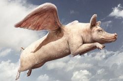 移动互联网只是工具,风口上的猪只是传说